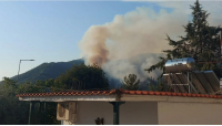 Θάσος: Μάχη με τις φλόγες δίνουν οι δυνάμεις πυρόσβεσης που προσπαθούν να θέσουν υπό έλεγχο τη φωτιά