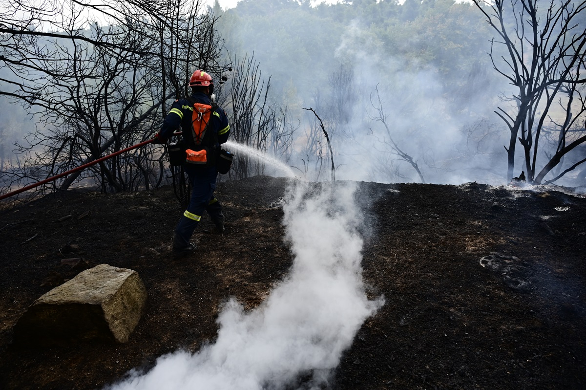 Αχαΐα: Φωτιά σε δασική έκταση στο Κάλφα