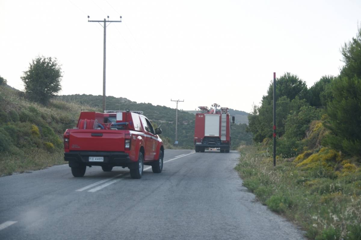 Ρέθυμνο: Υπό πλήρη έλεγχο η φωτιά στην περιοχή Λευκόγεια