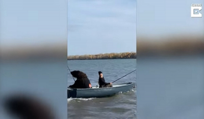 Αρκούδα πάει για ψάρεμα με... καλάμι και γίνεται viral