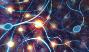 Καλλιτεχνική απεικόνιση της αποκατάστασης της λειτουργικής πλαστικότητας στις συνάψεις των νευρώνων