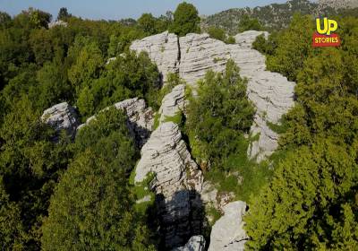 Πέτρινο Δάσος: Το εκπληκτικό και σπάνιο αξιοθέατο της Ηπείρου που λίγοι γνωρίζουν