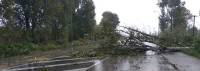 Σφοδρή νεροποντή στην Ηλεία: Πτώσεις δέντρων στην Εθνική Οδό (Εικόνες)