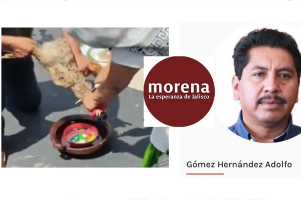 Σκάνδαλο: Θυσίασαν κότα στον θεό της βροχής στη μεξικανική Γερουσία - (Σκληρό βίντεο)