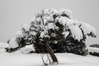 Χιόνια την Κυριακή: Η πρόγνωση ΕΜΥ, Αρναούτογλου, Μαρουσάκη, Γιαννόπουλου