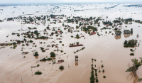 Πλημμύρες στη Θεσσαλία: Ξεκίνησαν να μεταφέρουν τα νεκρά ζώα - Πού θα καταλήξουν