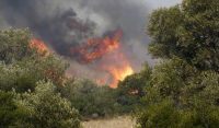 Φωτιά τώρα στη Φθιώτιδα - Σηκώθηκαν 4 αεροσκάφη