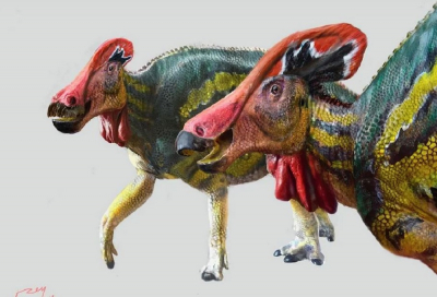Αναγνωρίστηκε νέο είδος δεινοσαύρου – Τεράστιος, λειράτος και ειρηνικός