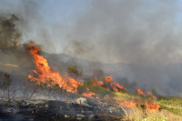 Φωτιά τώρα στην Κρήτη - Συναγερμός για το δάσος της Κέρης