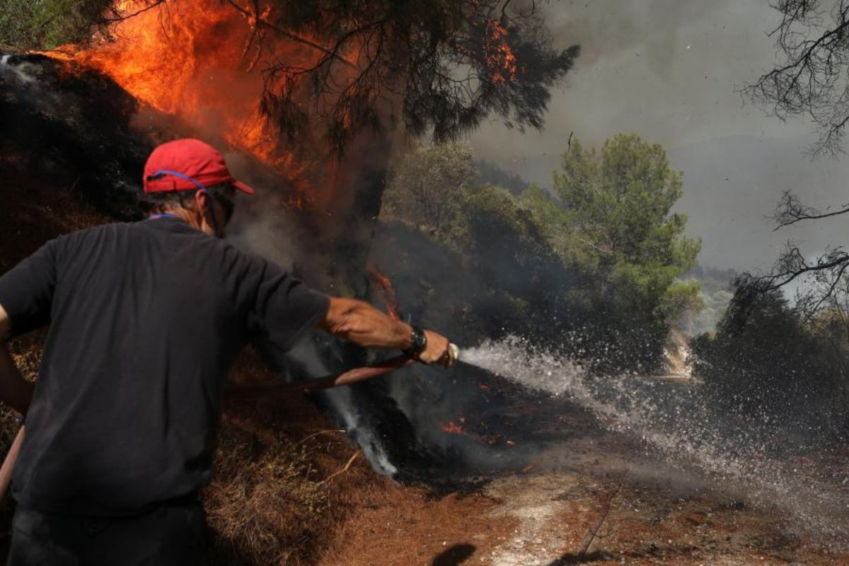 Βάλια Κάλντα: Μετά από 16 μέρες έσβησε η φωτιά στον εθνικό δρυμό