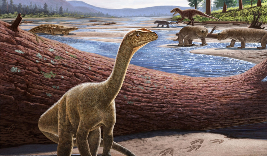 Mbiresaurus: Ανακαλύφθηκε ο αρχαιότερος δεινόσαυρος της Αφρικής