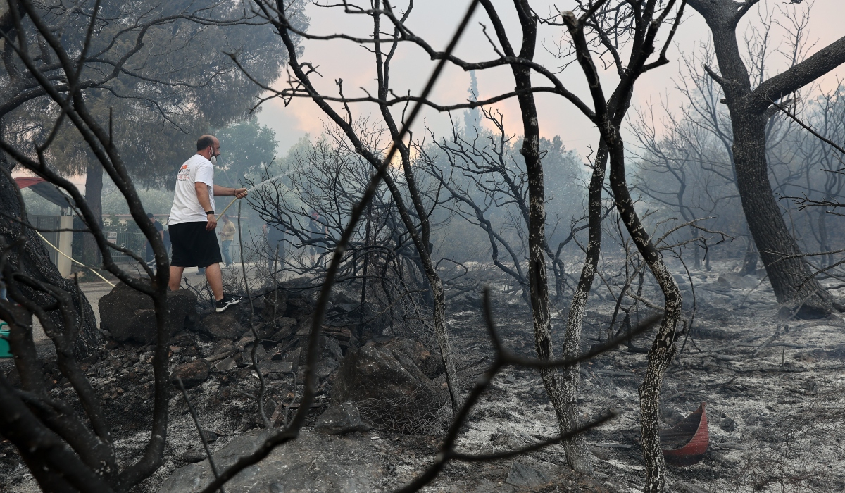 «SOS» Λέκκα για φωτιές: «Φοβάμαι πως το περιβαλλοντικό σύστημα της Αττικής θα καταρρεύσει»