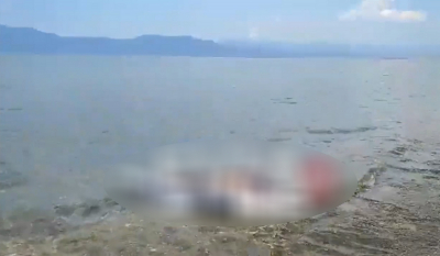 Χαλκίδα: Νεκρό δελφίνι ξεβράστηκε σε παραλία (βίντεο)