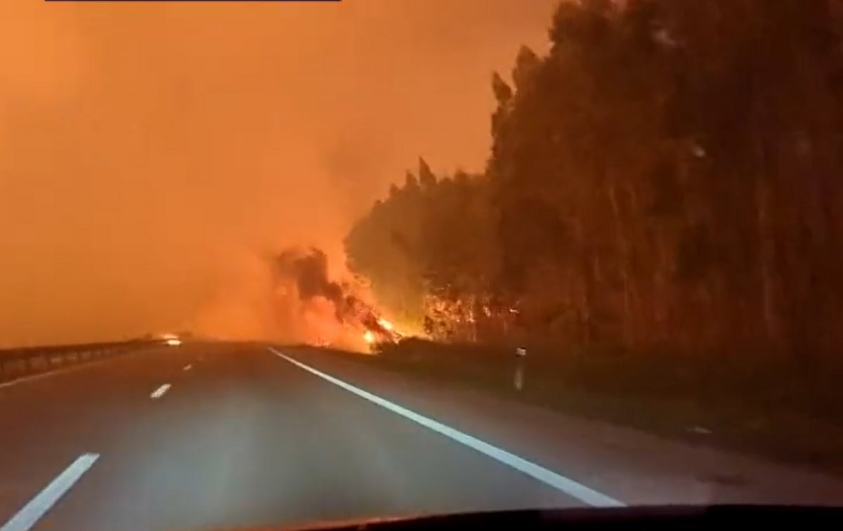 Φωτιά στην Πορτογαλία: Δείτε το συγκλονιστικό βίντεο δημοσιογράφου μέσα από τις φλόγες