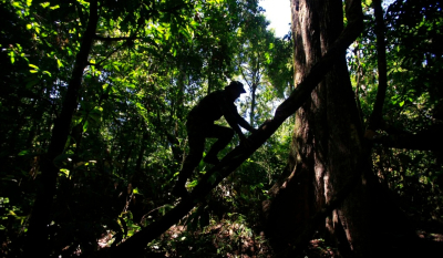 Κολομβία: Μεγάλη έρευνα στη ζούγκλα μετά από συντριβή αεροπλάνου - Ένας νεκρός και 6 αγνοούμενοι