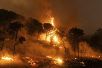 Έβρος: 15η νύχτα τρόμου από τη φωτιά σε Λευκίμμη και Σουφλί - Στάχτη η Δαδιά, νέες εκκενώσεις