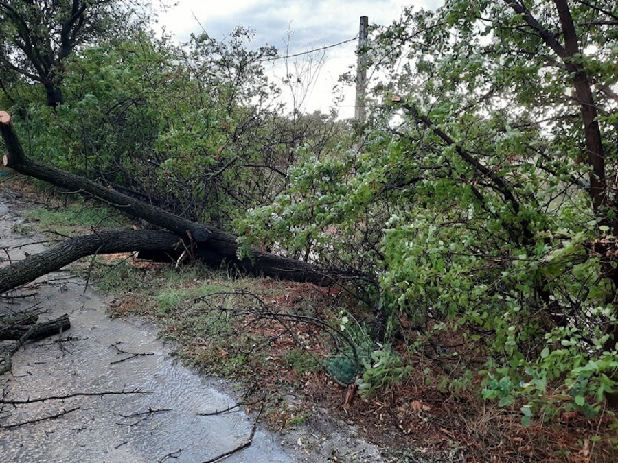 Σέρρες: Μπουρίνι σάρωσε την πόλη – Έπεσαν δέντρα σε πολλές περιοχές