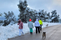 Χειμώνας 5 ημερών με χιόνια και κρύο: Στα «λευκά» Κοζάνη, Φλώρινα, Λάρισα - Θα χιονίσει και στην Αττική