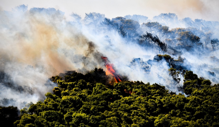Στοιχεία - σοκ για τις φωτιές στην Ελλάδα το 2021: Αύξηση 300% στην καμένη έκταση