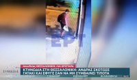 Η αστυνομία ψάχνει τον δράστη που ποδοπάτησε και σκότωσε το γατάκι στη Θεσσαλονίκη