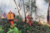 Βολιβία: Τουλάχιστον δύο νεκροί στη μάχη με τις φλόγες στον Αμαζόνιο