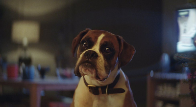 Πέθανε ο Buster, ο σκύλος από την «καλύτερη χριστουγεννιάτικη διαφήμιση»