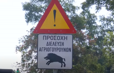 Προσοχή αγριογούρουνα στο Χαΐδάρι: Προειδοποιητικές πινακίδες στη Λεωφόρο Αθηνών