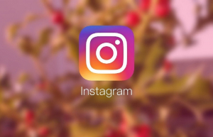 Το Instagram δεν θα προωθεί πια Reels του TikTok