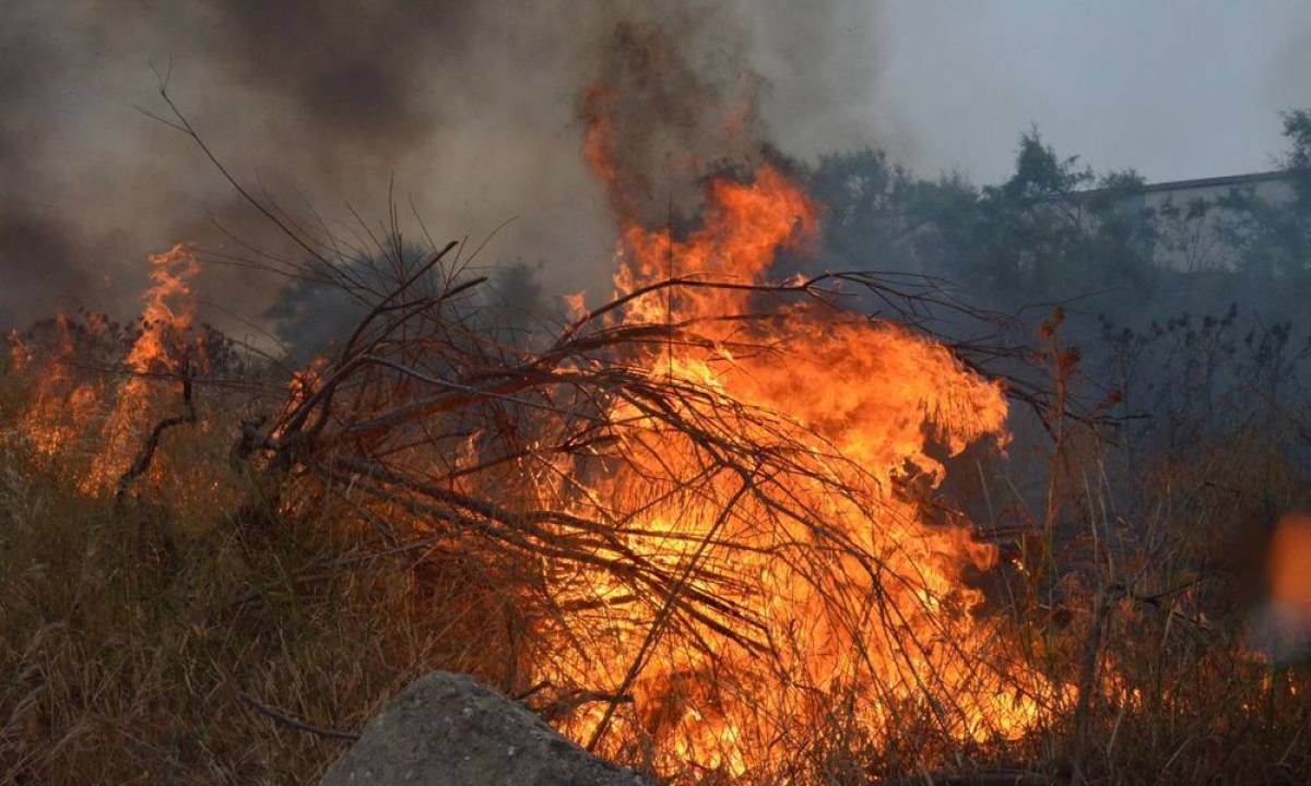 Φωτιά στην Ιτέα - 27 πυροσβέστες στο σημείο
