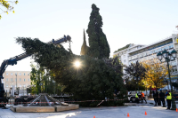 «Μύρισαν» Χριστούγεννα στην Αθήνα - Στήθηκε το χριστουγεννιάτικο δέντρο στο Σύνταγμα