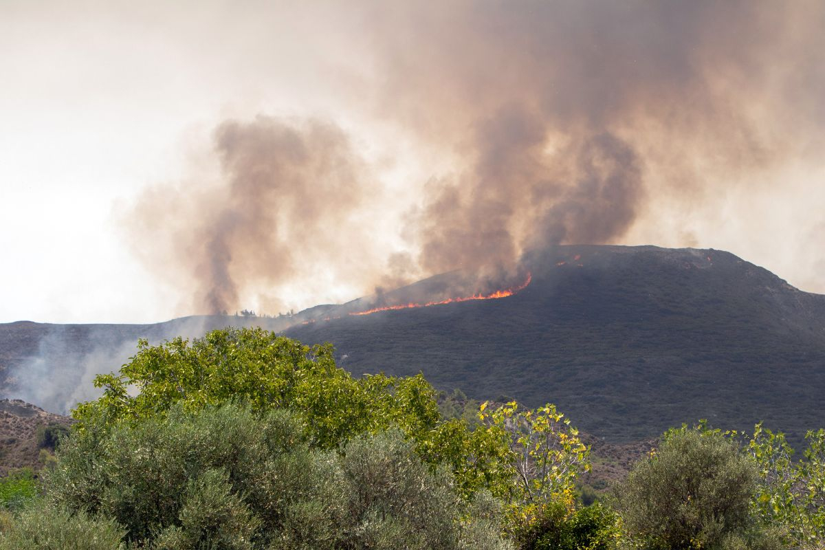 Φωτιά: Καλύτερη η εικόνα σε Λαμία, Κέρκυρα, Φθιώτιδα, «μάχη» στην Κάρυστο - 10 μέρες στις φλόγες η Ρόδος