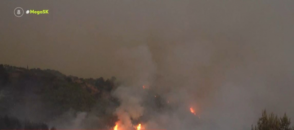 Φωτιά στην Εύβοια: Κραυγή αγωνίας - «Μόνη παρουσία της πολιτείας τα SMS από το 112»