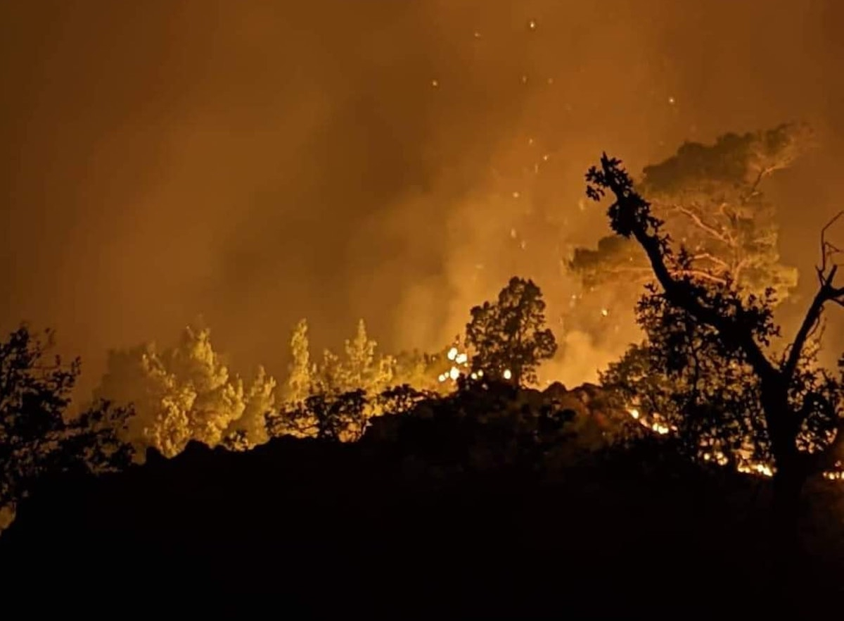 Φωτιά στο Εθνικό Πάρκο Δαδιάς: Ολονύχτια «μάχη» με τις φλόγες