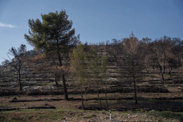 ΤΕΡΝΑ: Χρηματοδότηση αντιδιαβρωτικών έργων 1 εκατ. ευρώ στις πληγείσες από τις πυρκαγιές περιοχές της Μάνδρας