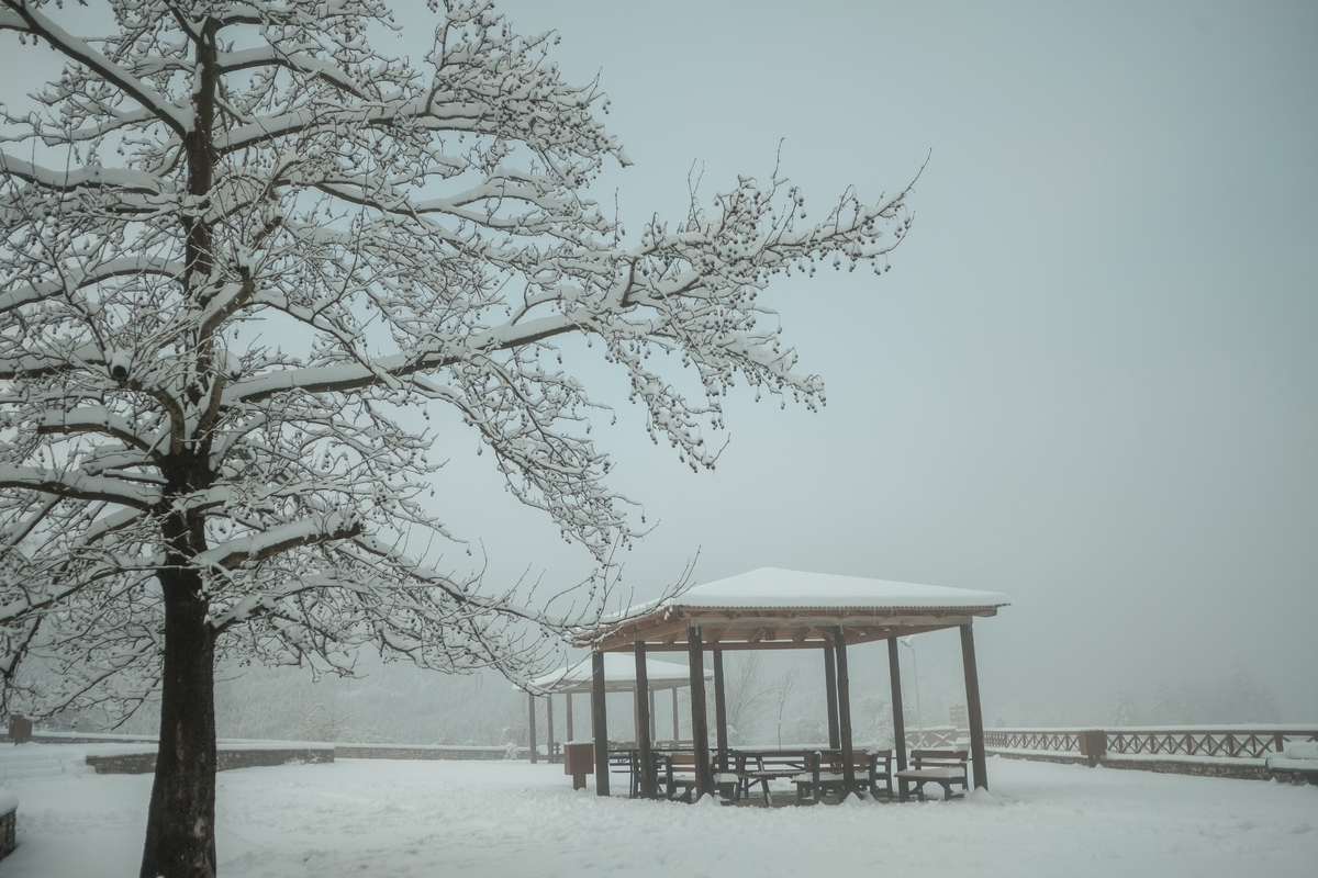 Σάκης Αρναούτογλου: Πανελλαδική επιδείνωση καιρού με πολύ κρύο - Τι λέει για χιόνια