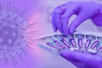 Κορονοϊός: Τέλη Απριλίου τα πρώτα τεστ εμβολίου στον άνθρωπο