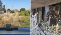 Εικόνες «ζούγκλας» στον ΟΣΕ: Αγριόχορτα «κατέλαβαν» σιδηροδρομικές γραμμές που μεταφέρουν καύσιμα