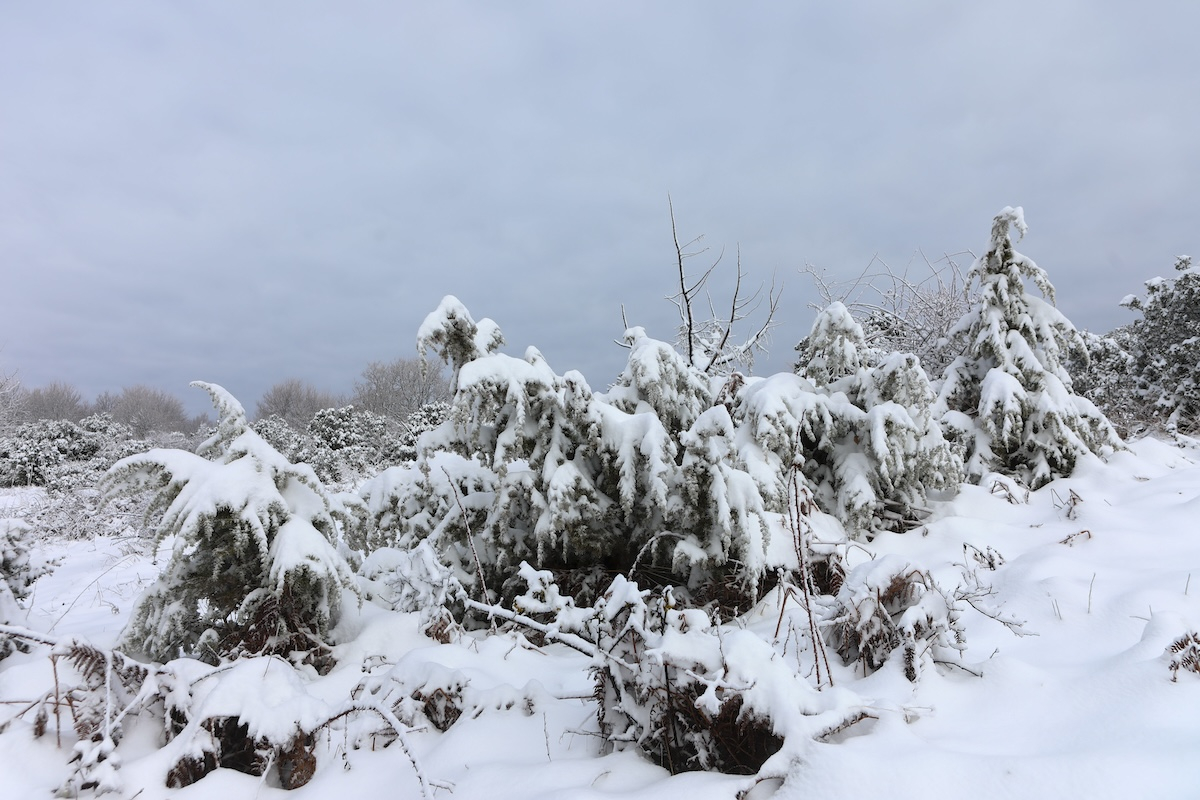 Κακοκαιρία: Οι περιοχές που θα χιονίσει σήμερα – Η τελευταία πρόγνωση