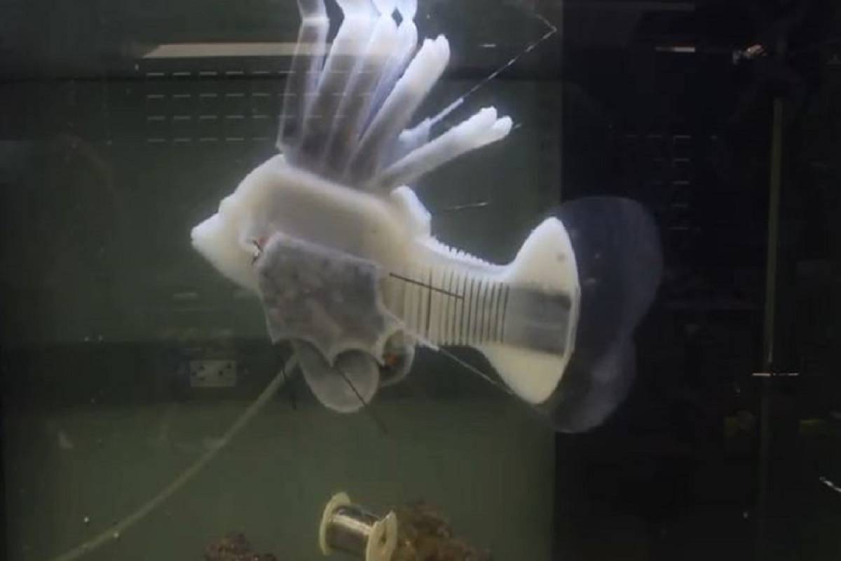 Tο ρομποτικό ψάρι που κινείται με συνθετικό αίμα