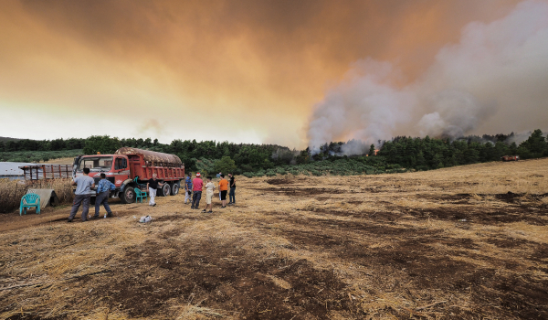 Φωτιές τώρα: Πύρινος εφιάλτης σε Εύβοια, Ρόδο, Ηλεία