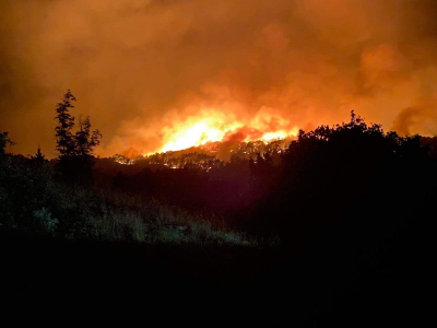 Φωτιά στο Δάσος Δαδιάς: Νύχτα αγωνίας - Εκκενώθηκε ο οικισμός (Βίντεο)