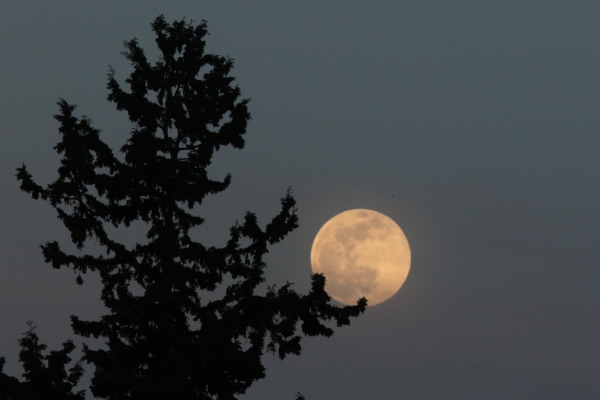 «Φεγγάρι της Φράουλας»: Πότε είναι η τελευταία υπερπανσέληνος του 2021