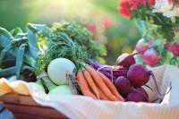 Οι τιμές της Λαχαναγοράς: Αυξήσεις στα λαχανικά έφεραν τα χιόνια και ο παγετός