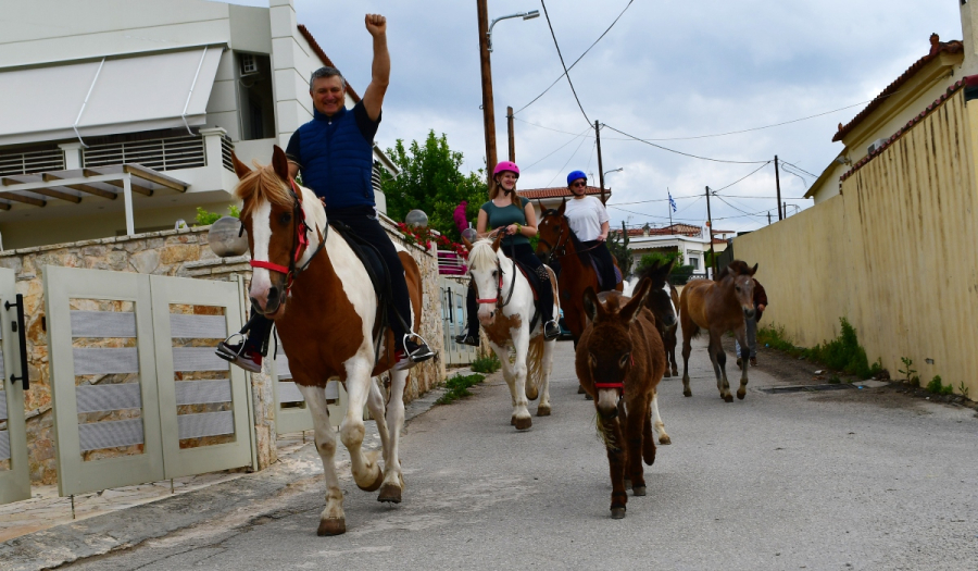 Ναύπλιο: Ο λόγος που ένας αγρότης πήγε να ψηφίσει με… άλογα και γαϊδούρια