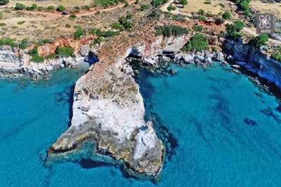Το μοναδικό απολιθωμένο φοινικόδασος της Ευρώπης στην Ελλάδα - Έχει ηλικία 3.000.000 ετών