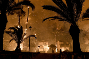 Φωτιά στον Σχίνο: Η πύρινη λαίλαπα καταστρέφει τα πάντα - Συγκλονιστικές εικόνες