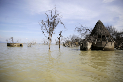 Κλιματική κρίση: Δραματική προειδοποίηση για «μαζική έξοδο βιβλικής κλίμακας»