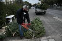 Χριστουγεννιάτικα δέντρα: Στο δρόμο για Αθήνα τα έλατα