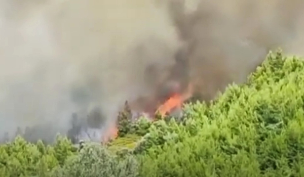 Φωτιά στην Εύβοια : Οι πυροσβέστες έλεγξαν το ένα μέτωπο της φωτιάς - Κοντά σε δασική έκταση το άλλο