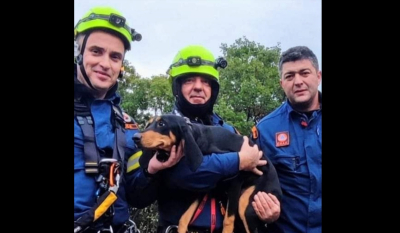 Εύβοια: Επιχείρηση διάσωσης για σκυλίτσα που έπεσε σε χαράδρα